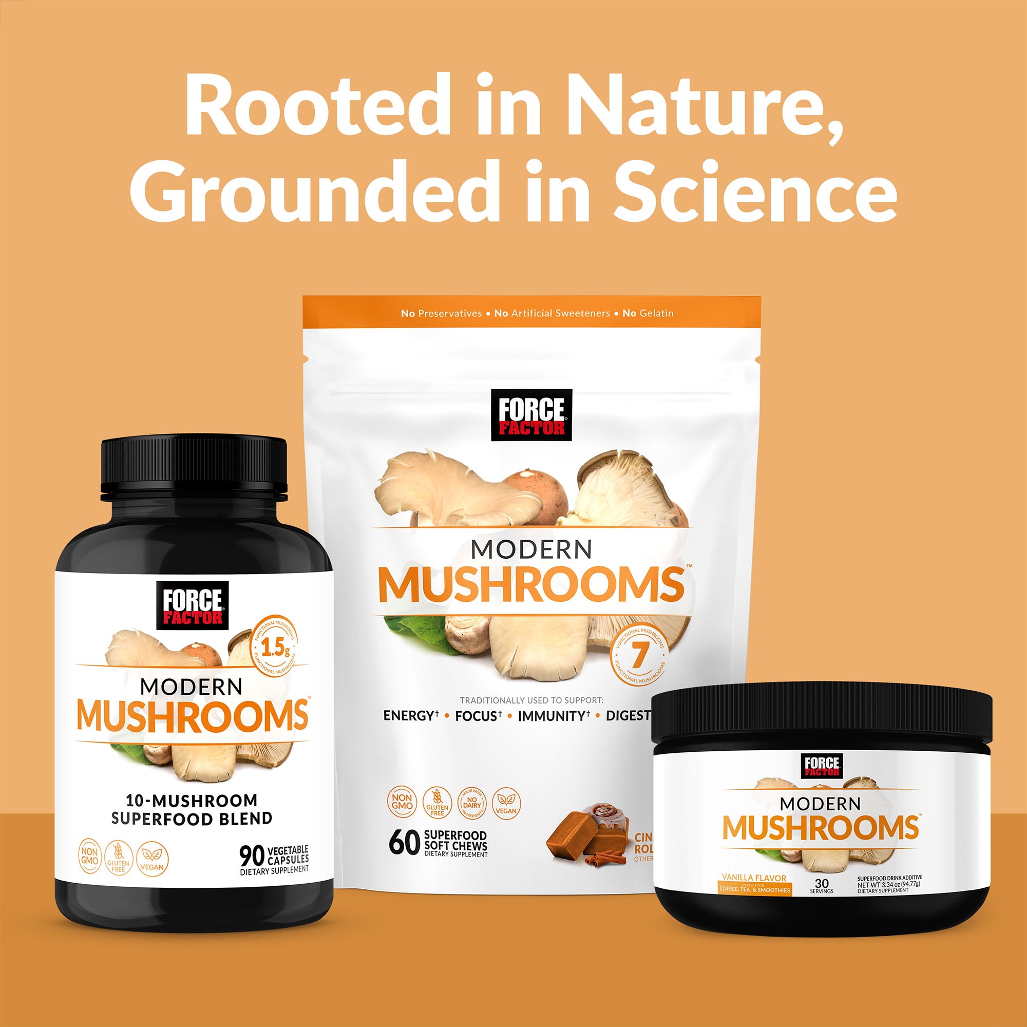 Cápsulas de hongos modernos