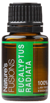 Eucalyptus Radiata Essential Oil, 15 mL