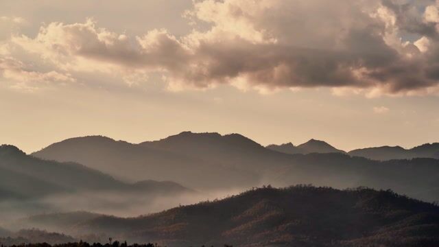 Polvo de péptidos de colágeno múltiple