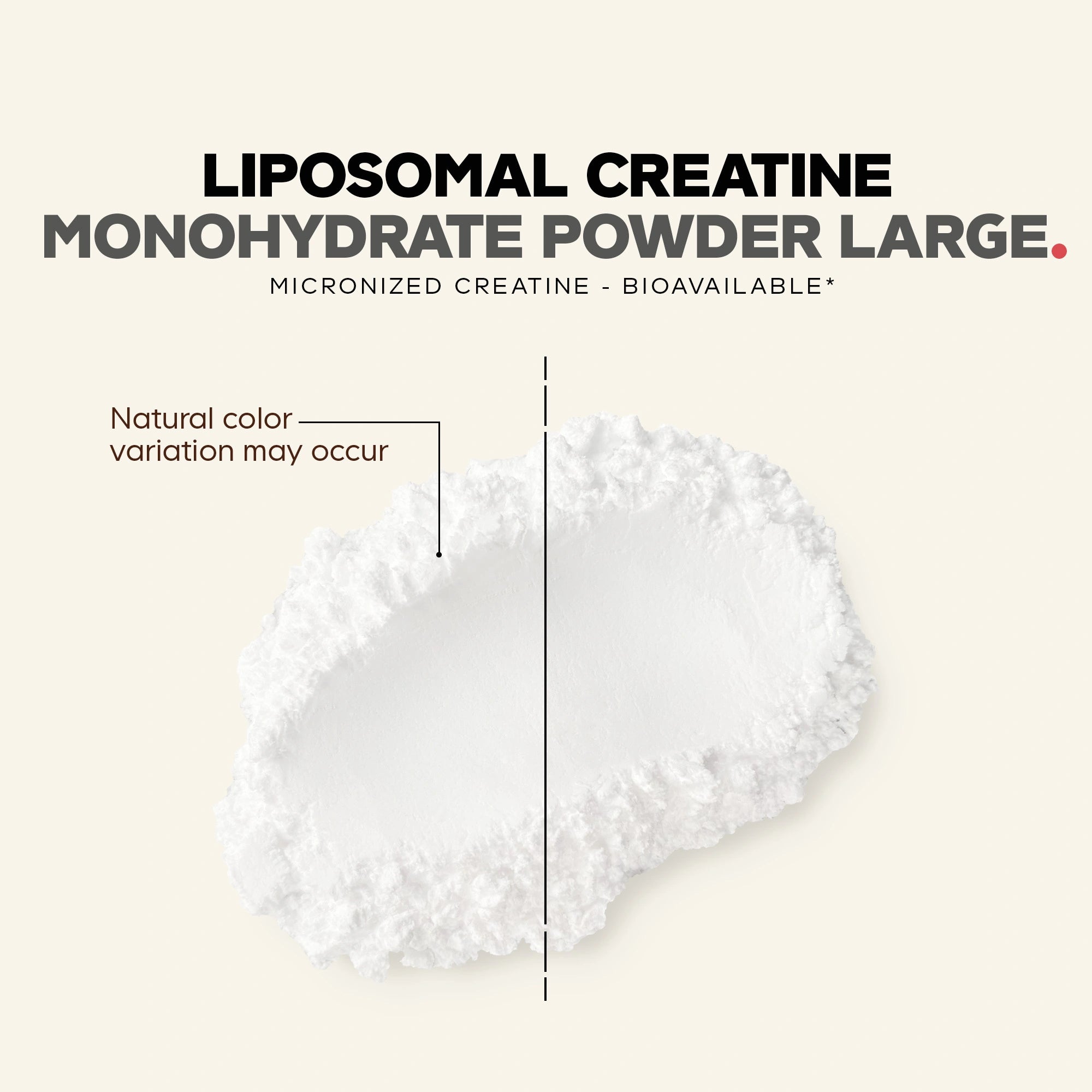 Creatine Monohydrate 455G