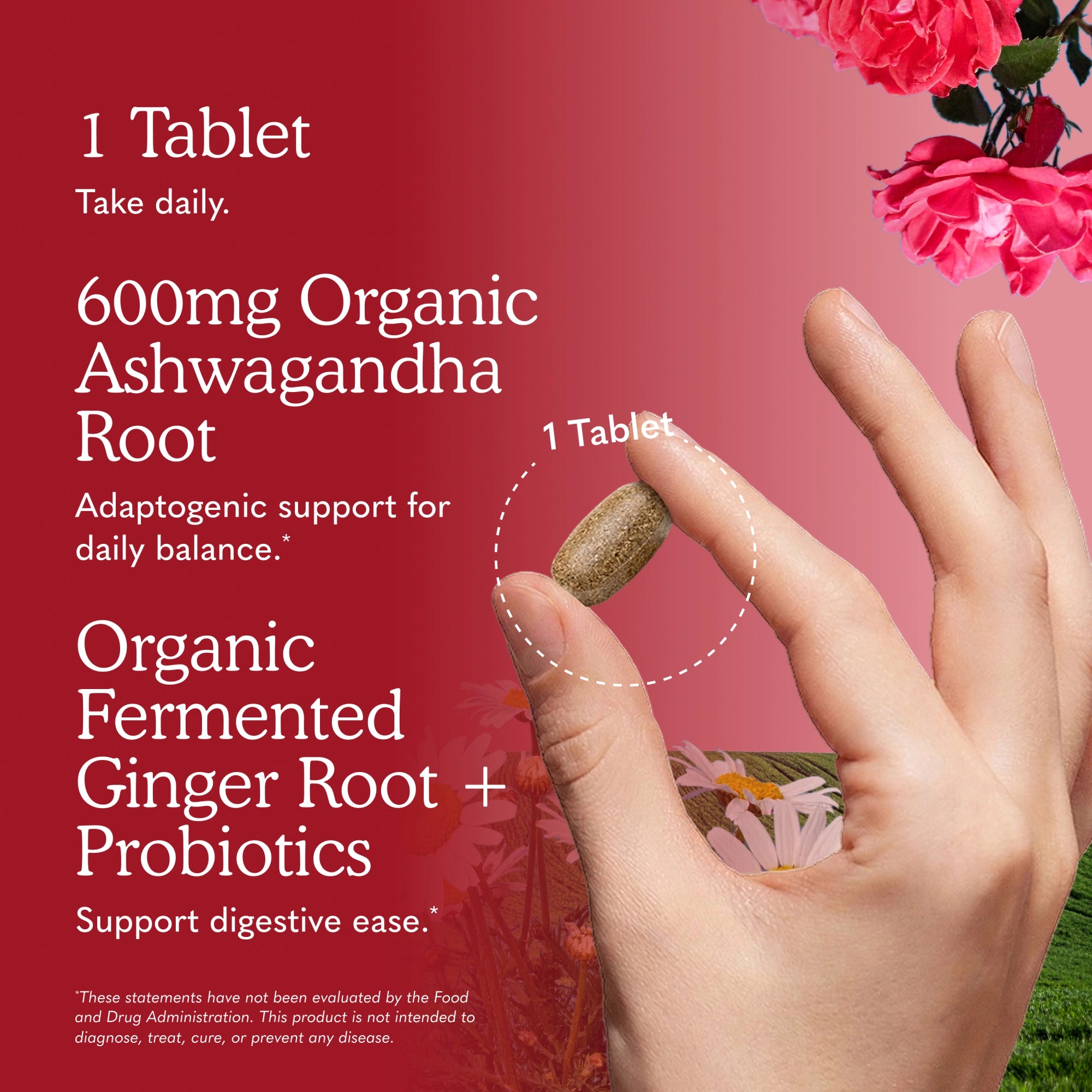 Garden of Life Organics Ashwaganda Stress & Mood (60 count)
