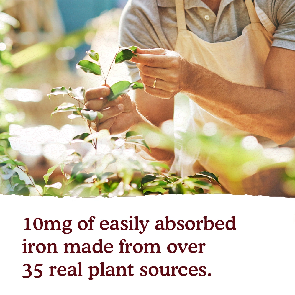 Garden of Life Organics Organic Plant-Sourced Iron + Herbs (Cranberry-Lime Liquid)