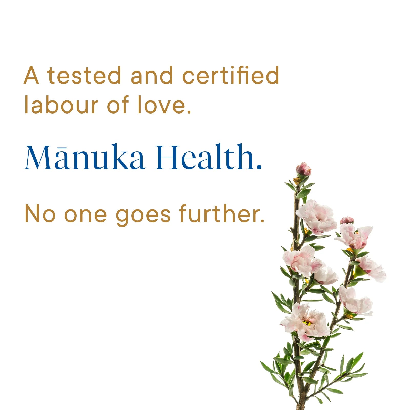 Manuka_Honey_MGO_115_On-the-Go_Wellness-60g-Product Infographic