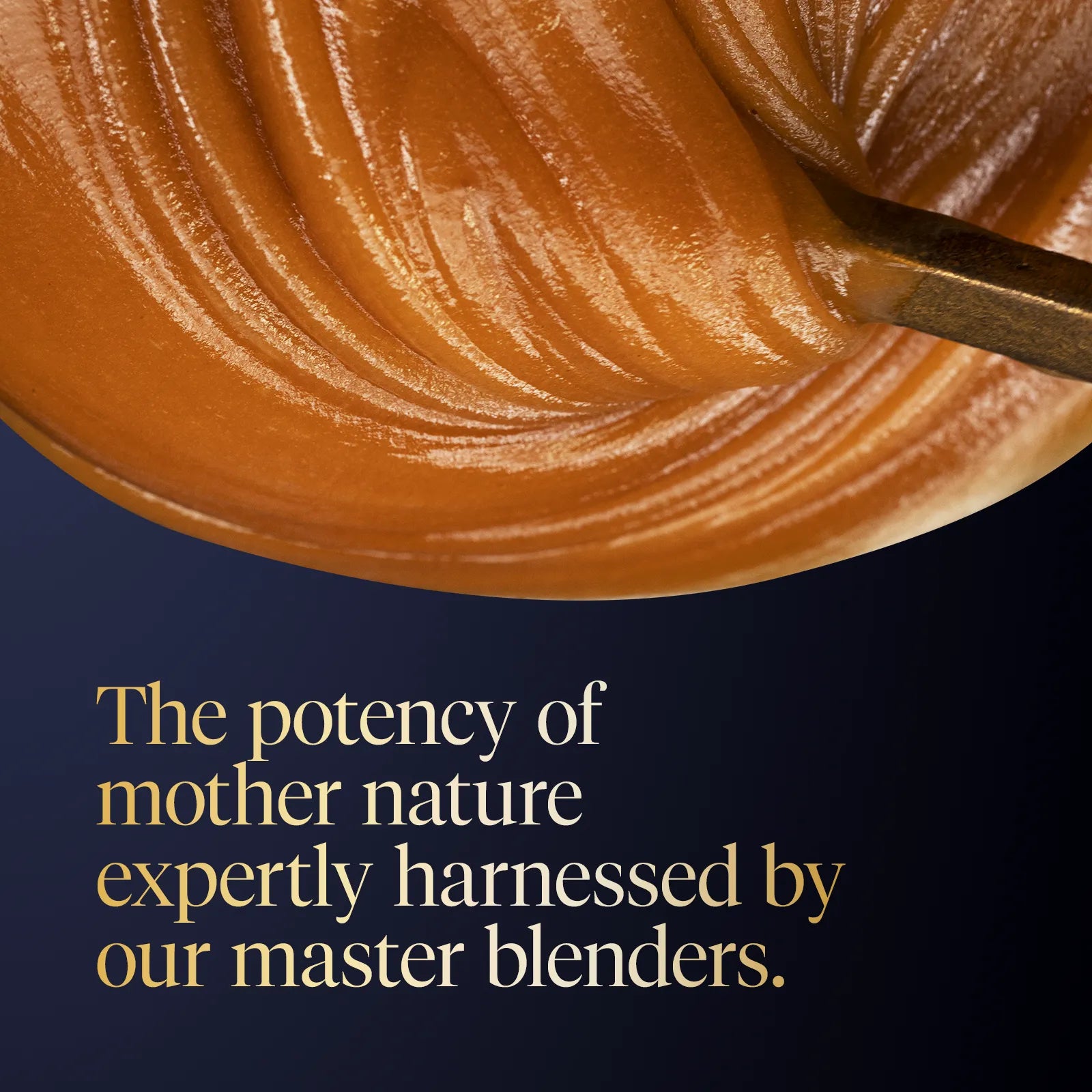Manuka_Honey_MGO_115_On-the-Go_Wellness-60g-Product Infographic