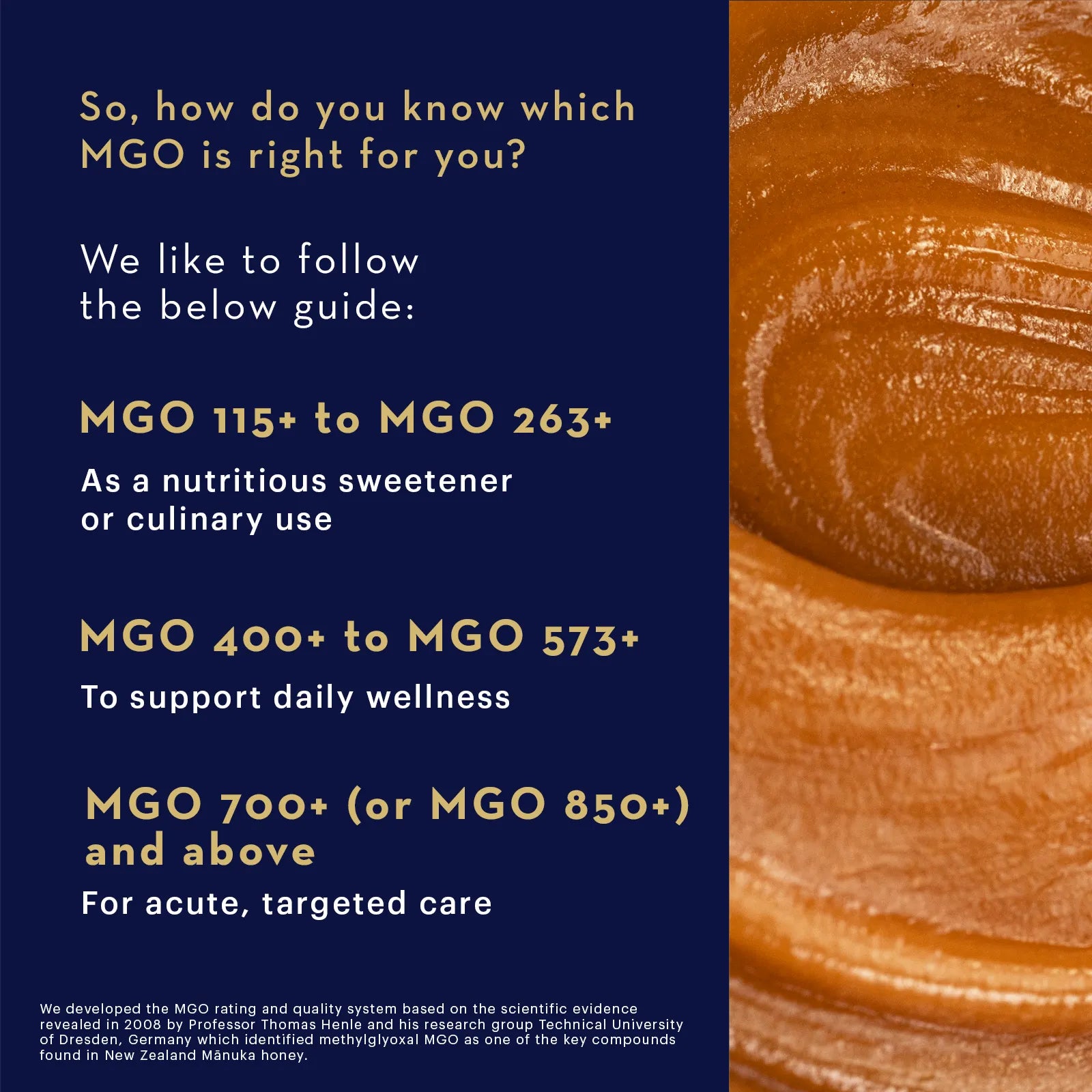 Manuka_Honey_MGO_400_Bioactive_Wellness-250g-Product Infographic