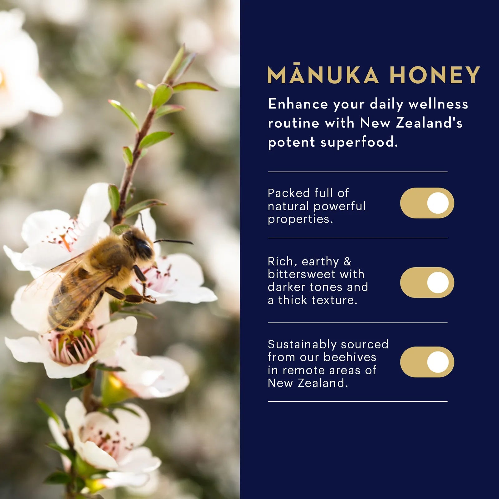 Manuka_Honey_MGO_400_Ginger_and_Lemon_Lozenges-15_Count-Product Infographic
