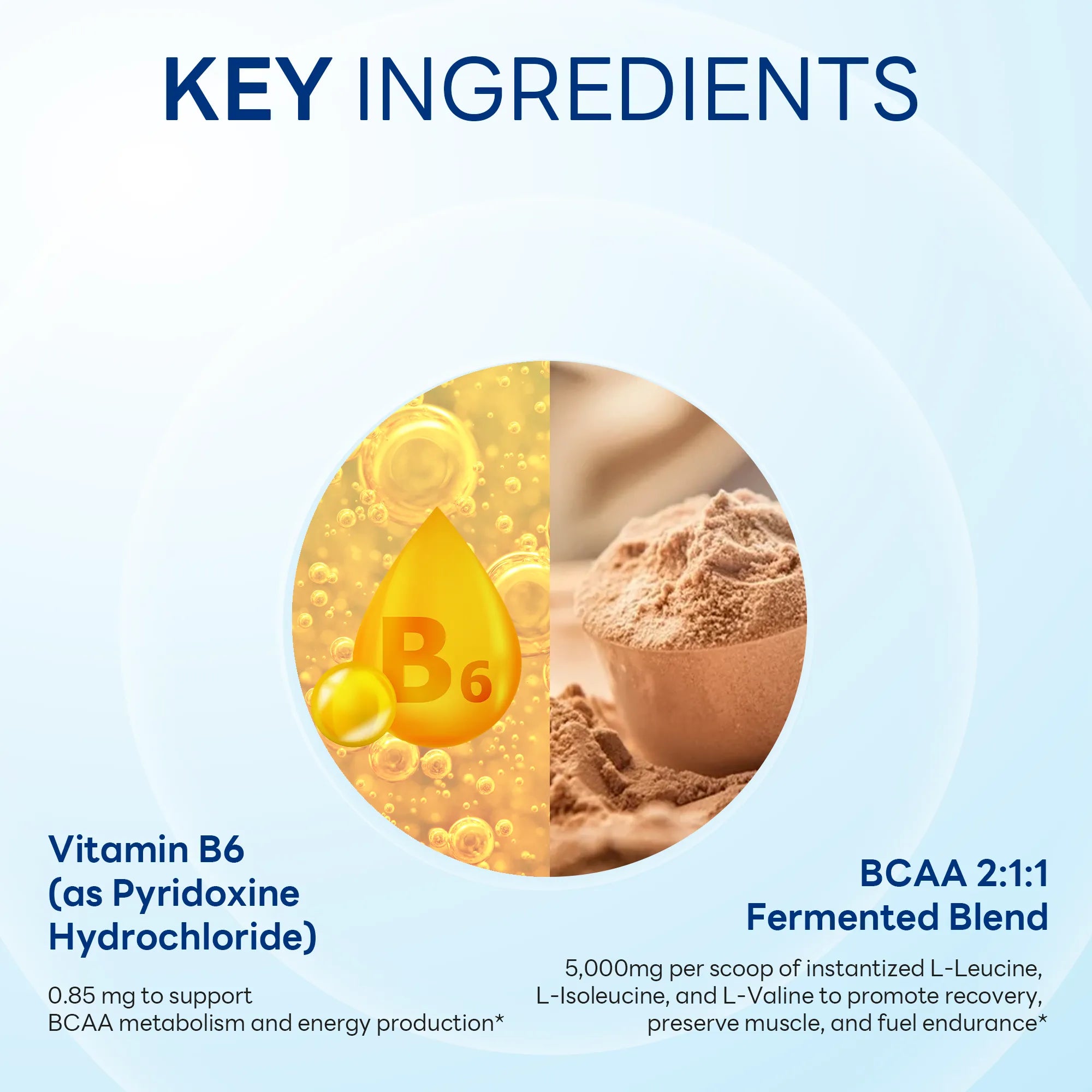 Performance BCAA Unflavored, Performance Support, 292g Powder