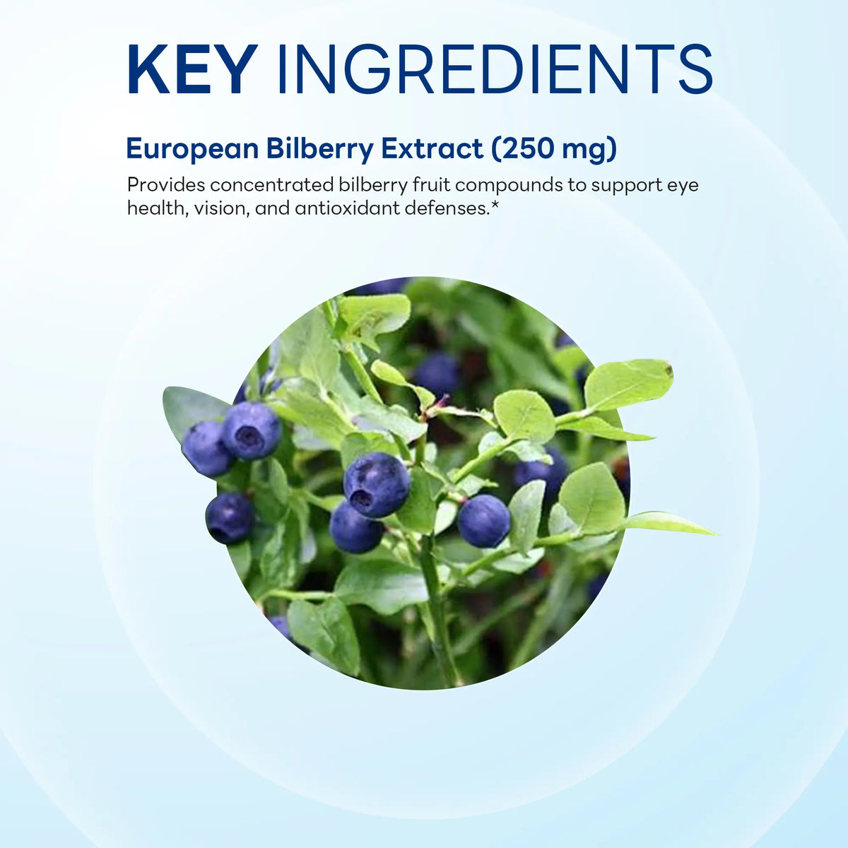 Bilberry Fruit 1,000 mg Equivalent, Eye & Vision Support, 90 Capsules