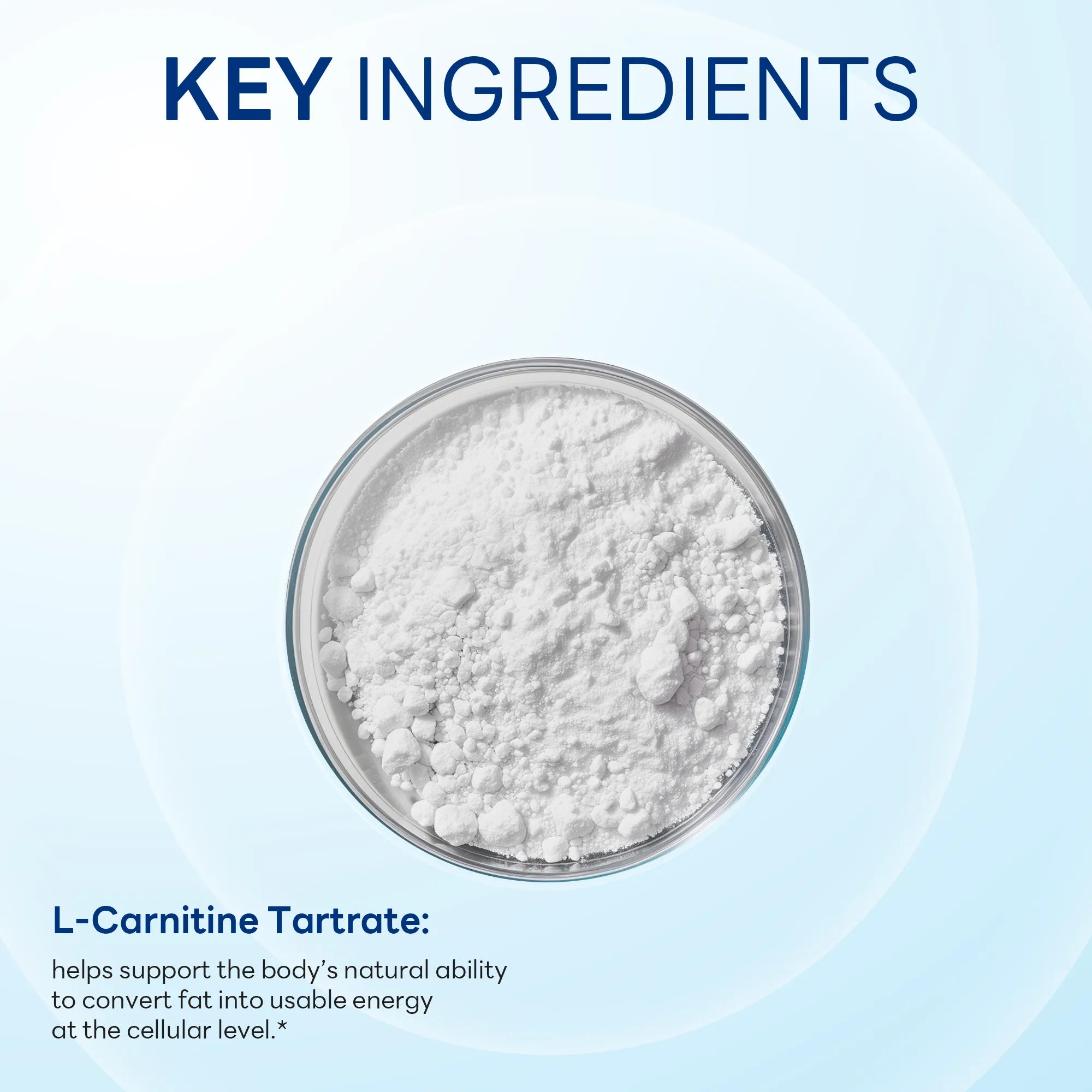 L-Carnitine Tartrate, Performance Support, Energy Support, 90 Caplets