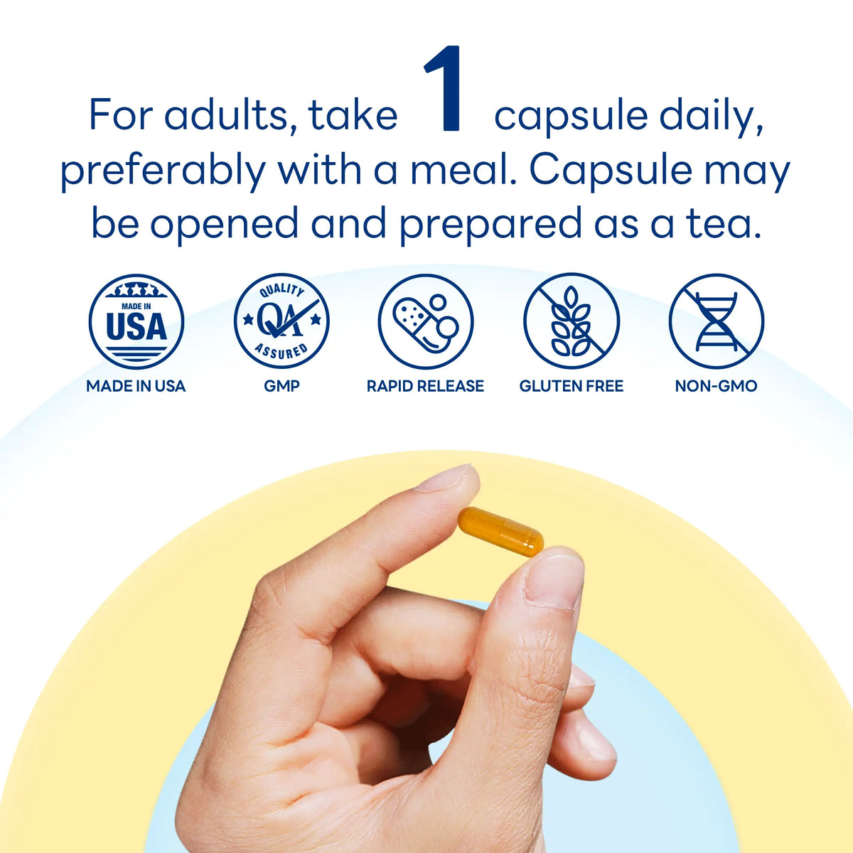 Turmeric Curcumin 500 mg, Antioxidant & Immune Support, 90 Rapid Release Capsules