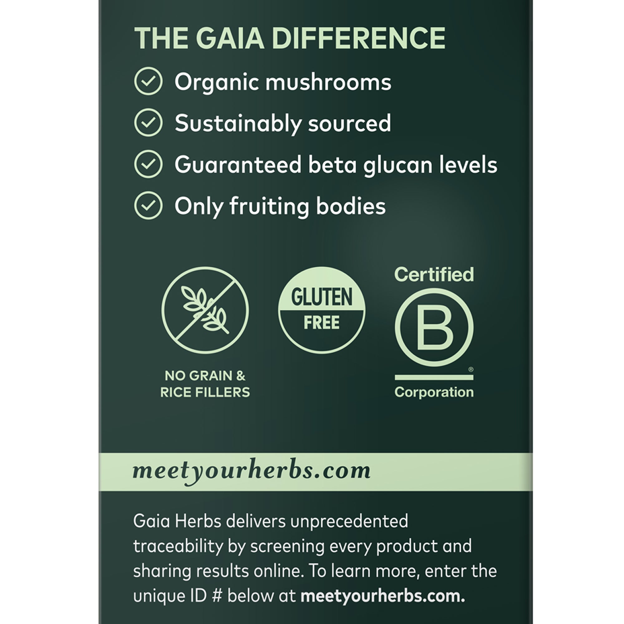 Hongo melena de león