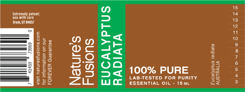 Eucalyptus Radiata Essential Oil, 15 mL