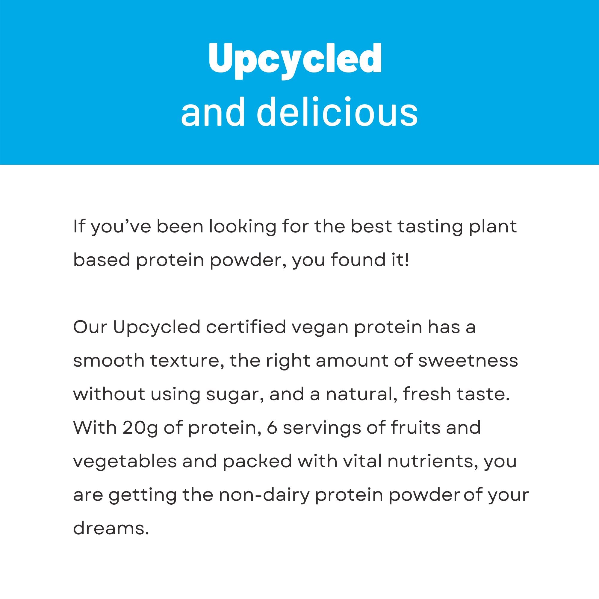 Chocolate Smoothie Protein Powder