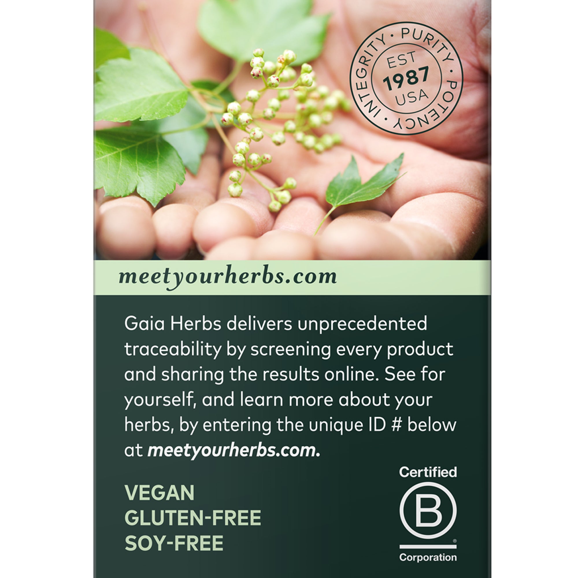 Semilla de cardo mariano