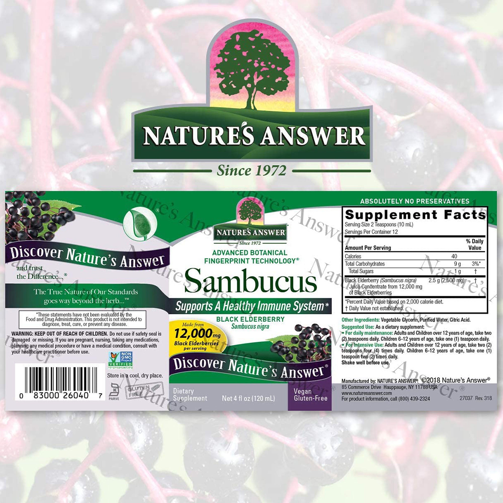 Sambucus Black Elderberry