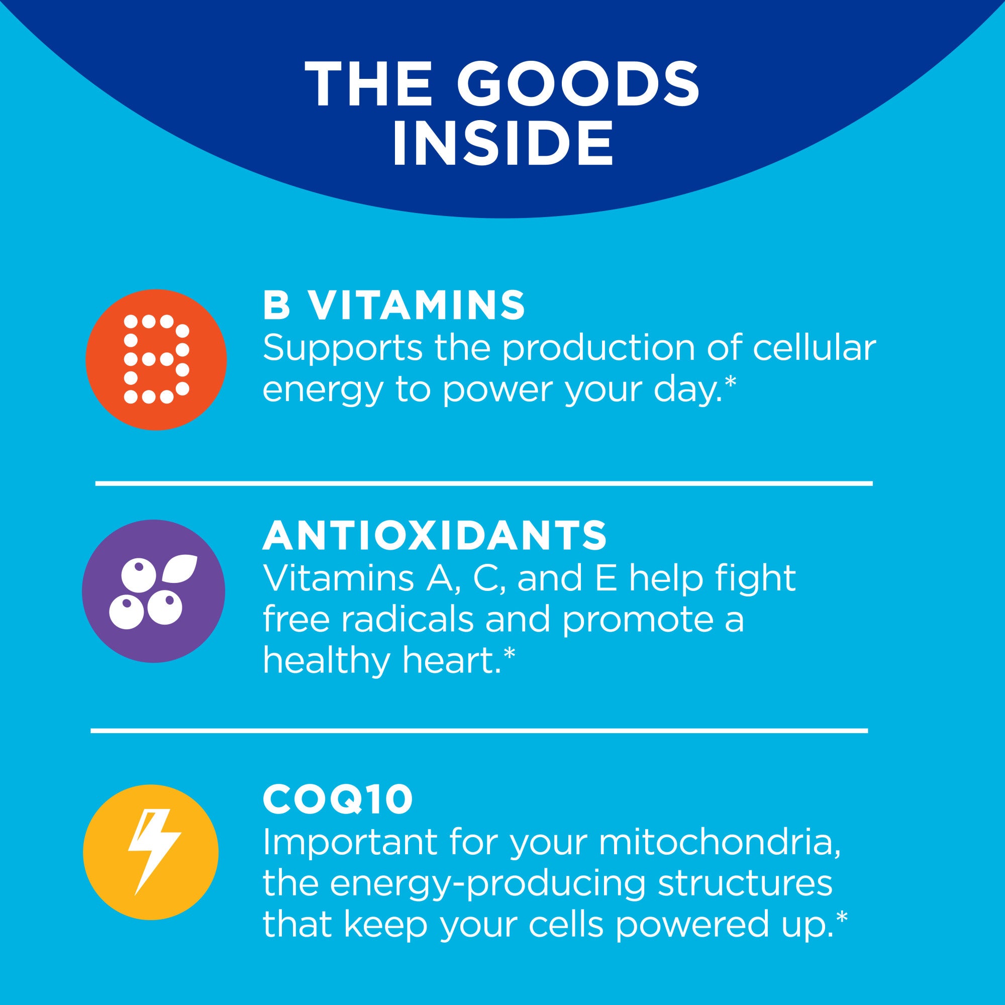 OLLY Men's Multivitamin Blackberry Blitz Gummies