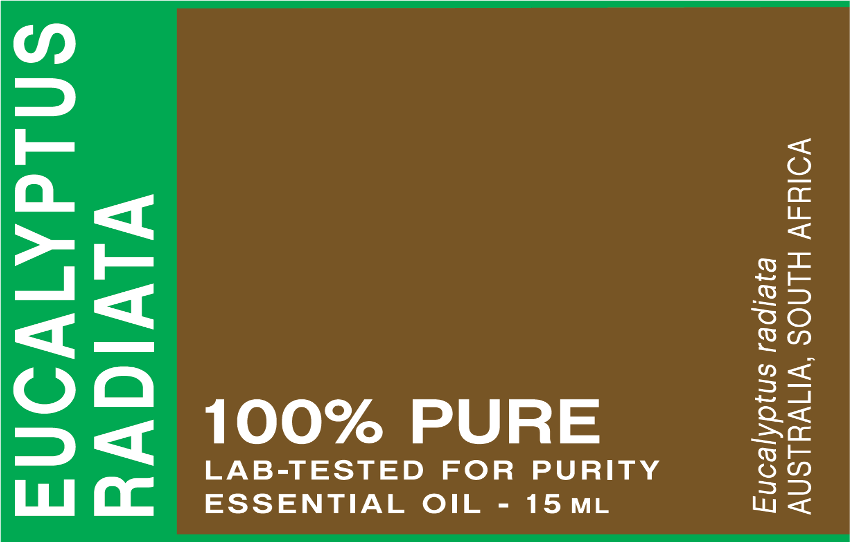Eucalyptus Radiata Essential Oil, 15 mL