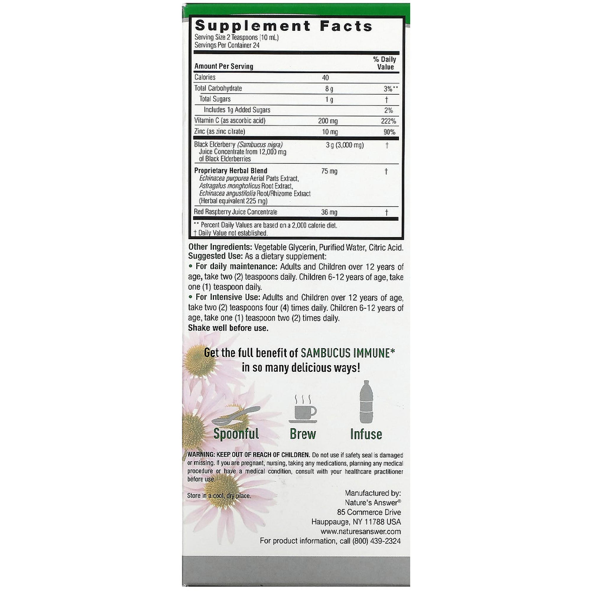 Sambucus Black Elderberry