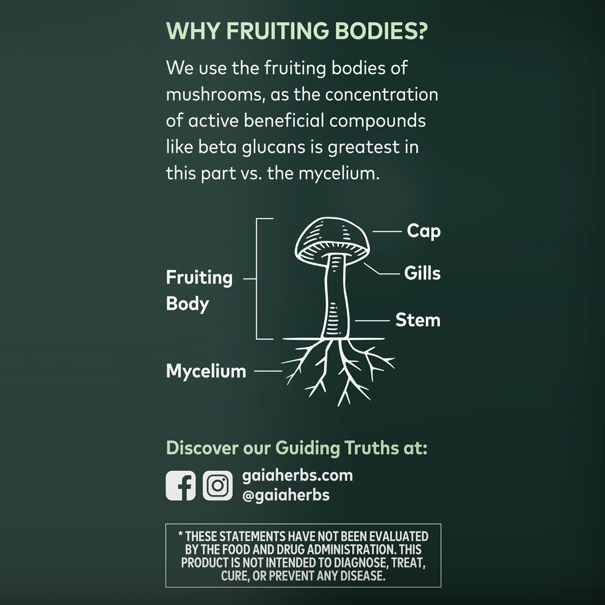 Mezcla de hongos respiratorios