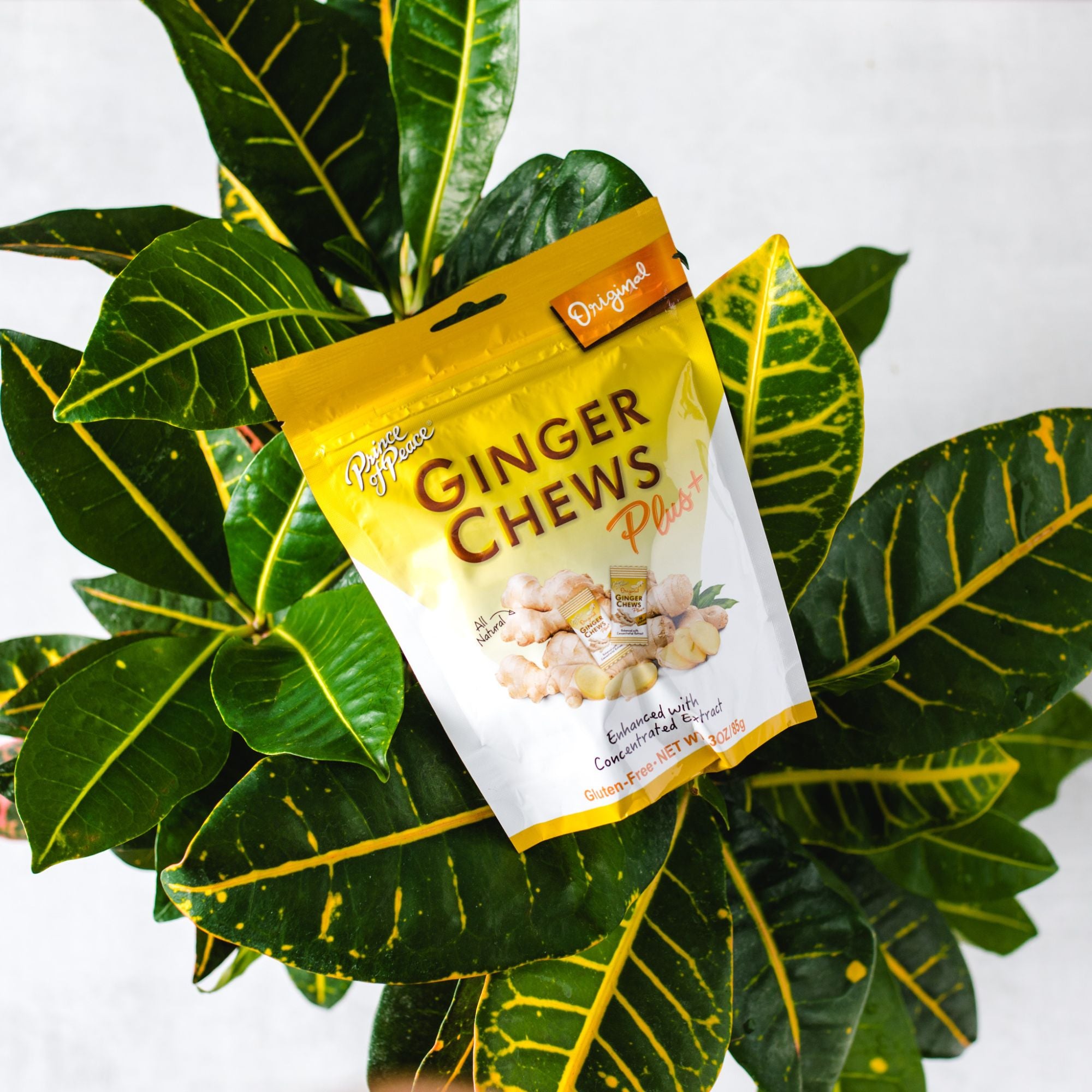 Original Ginger Chews