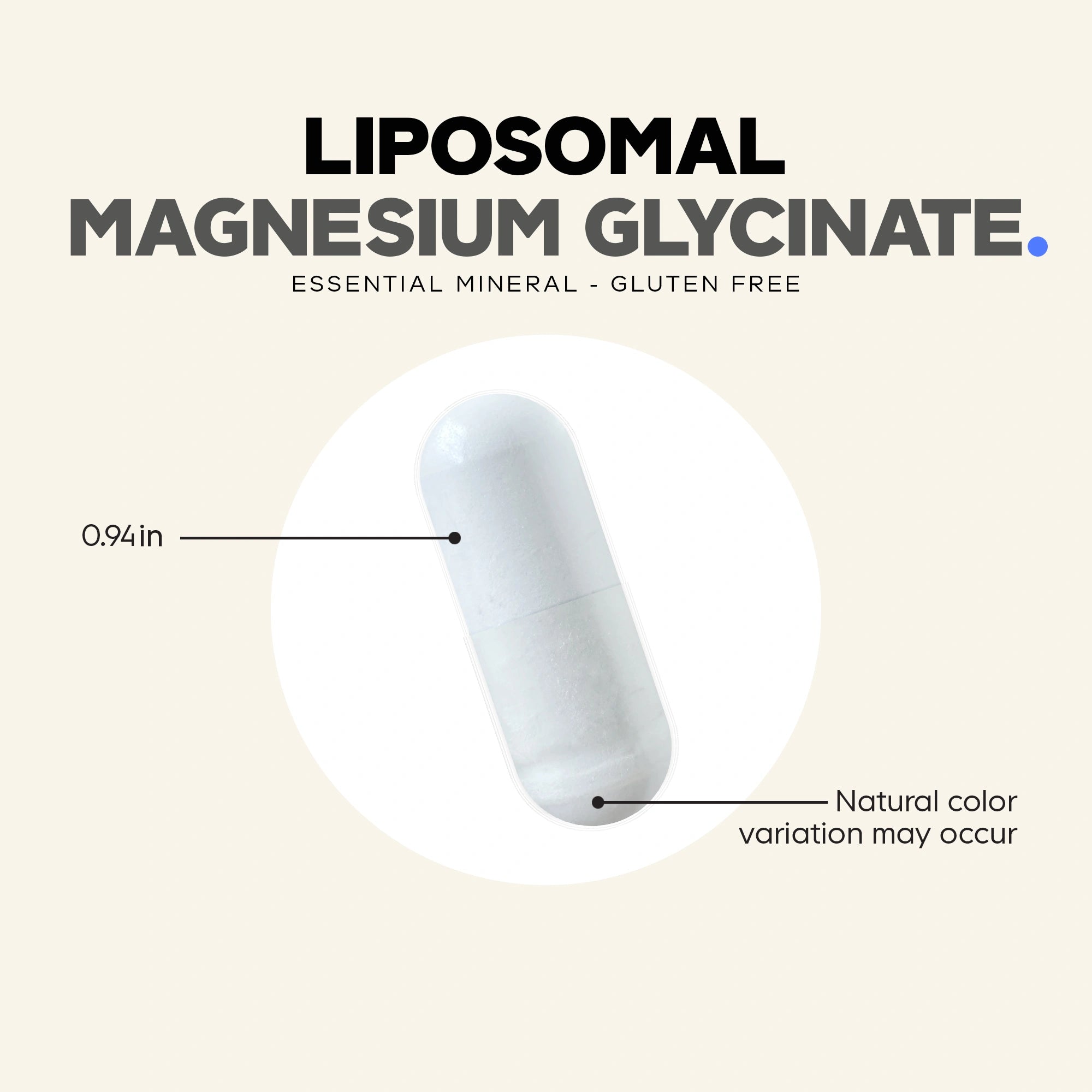 Liposomal Magnesium Glycinate, Daily Wellness, 240 Count