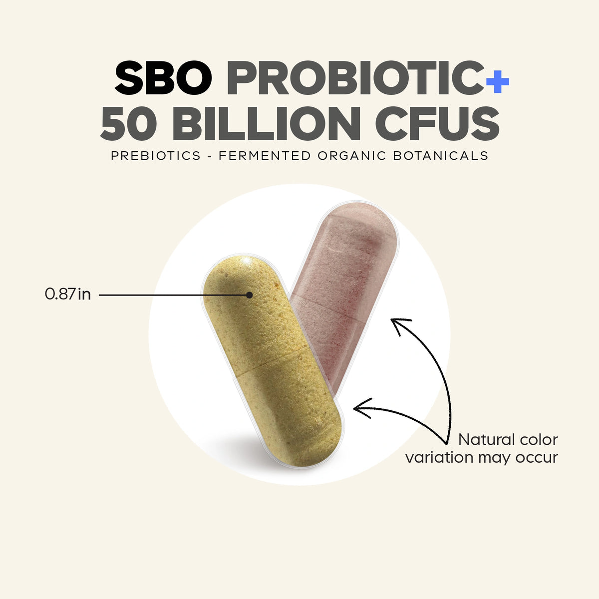 Codeage SBO Probiotics, 50 Billion CFUs Per Serving, 90 Caps
