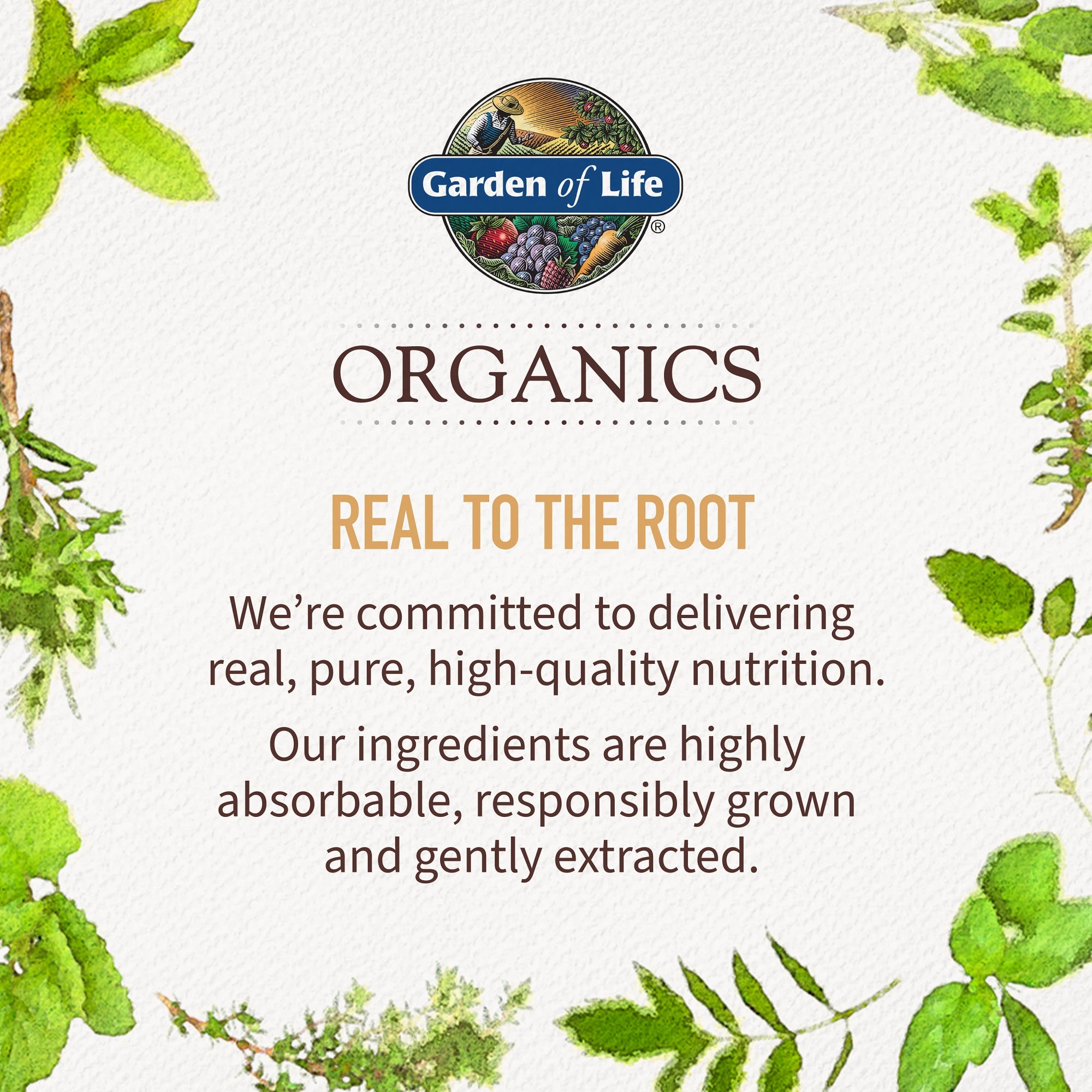 Garden of Life Organics Organic B-12 Spray