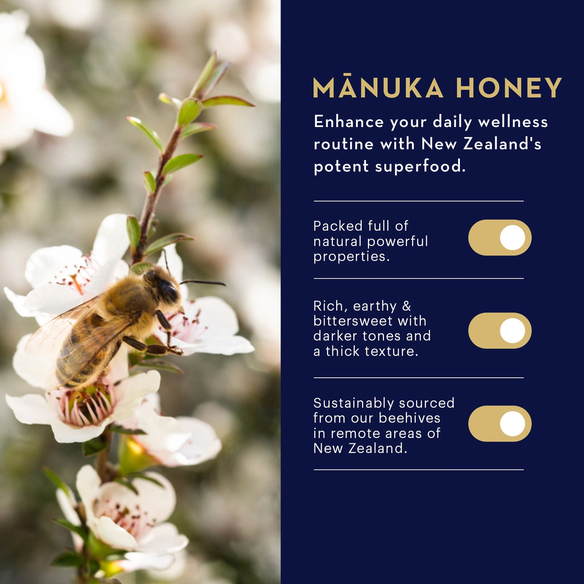 Manuka_Health_Manuka_Honey_Lozenges_Natural_Lemon_MGO_400_15_Lozenges_Features_77440