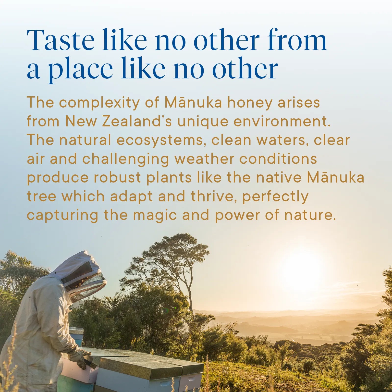 Manuka_Honey_MGO_115_On-the-Go_Wellness-60g-Product Infographic