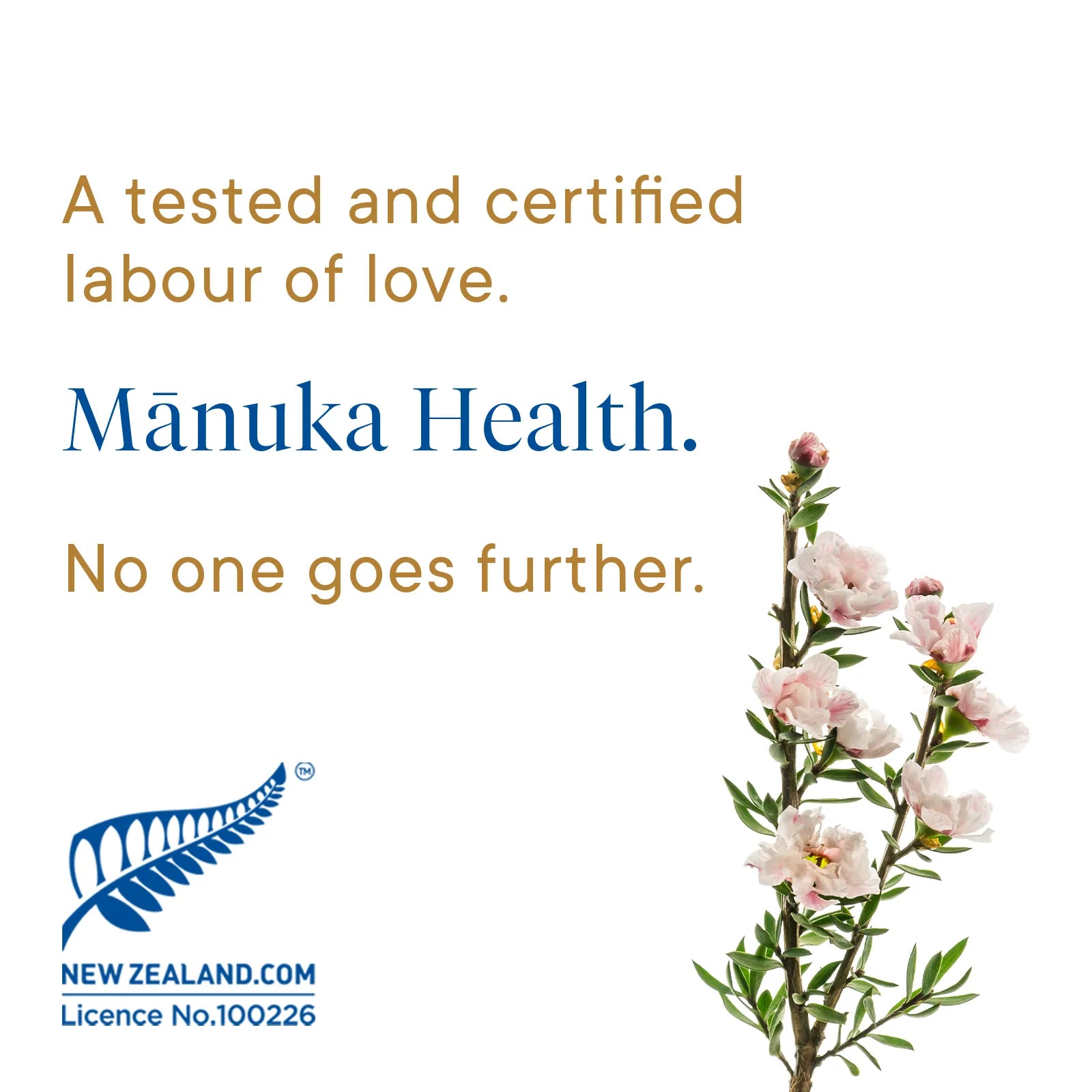 Manuka_Honey_MGO_400_Ginger_and_Lemon_Lozenges-15_Count-Product Infographic