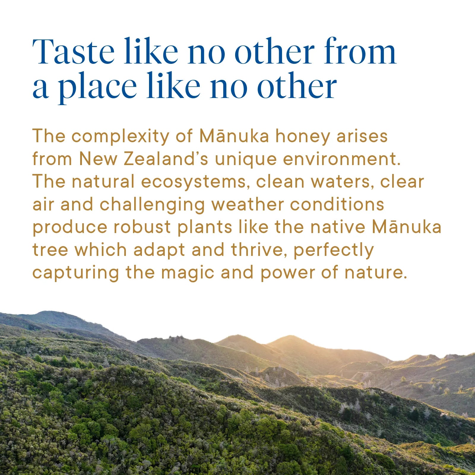 Manuka_Honey_MGO_400_Ginger_and_Lemon_Lozenges-15_Count-Product Infographic