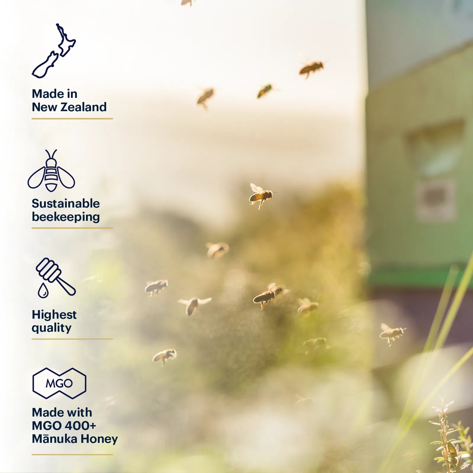 Manuka_Honey_MGO_400_Ginger_and_Lemon_Lozenges-15_Count-Product Infographic