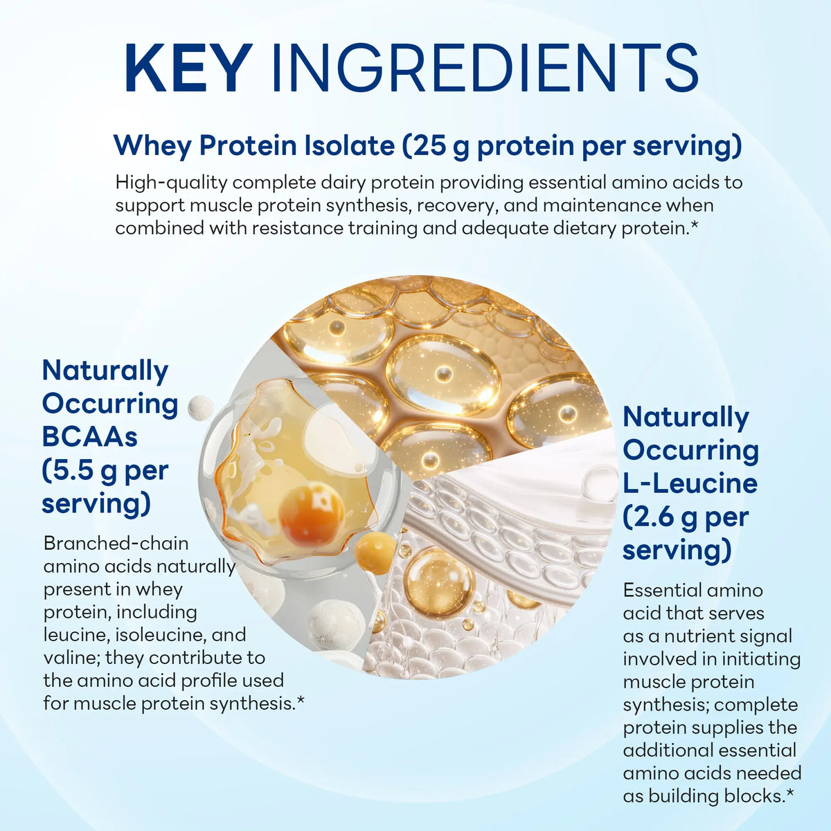 100% Whey Protein Isolate Vanilla Indulgence, Performance Support, 2100g Powder