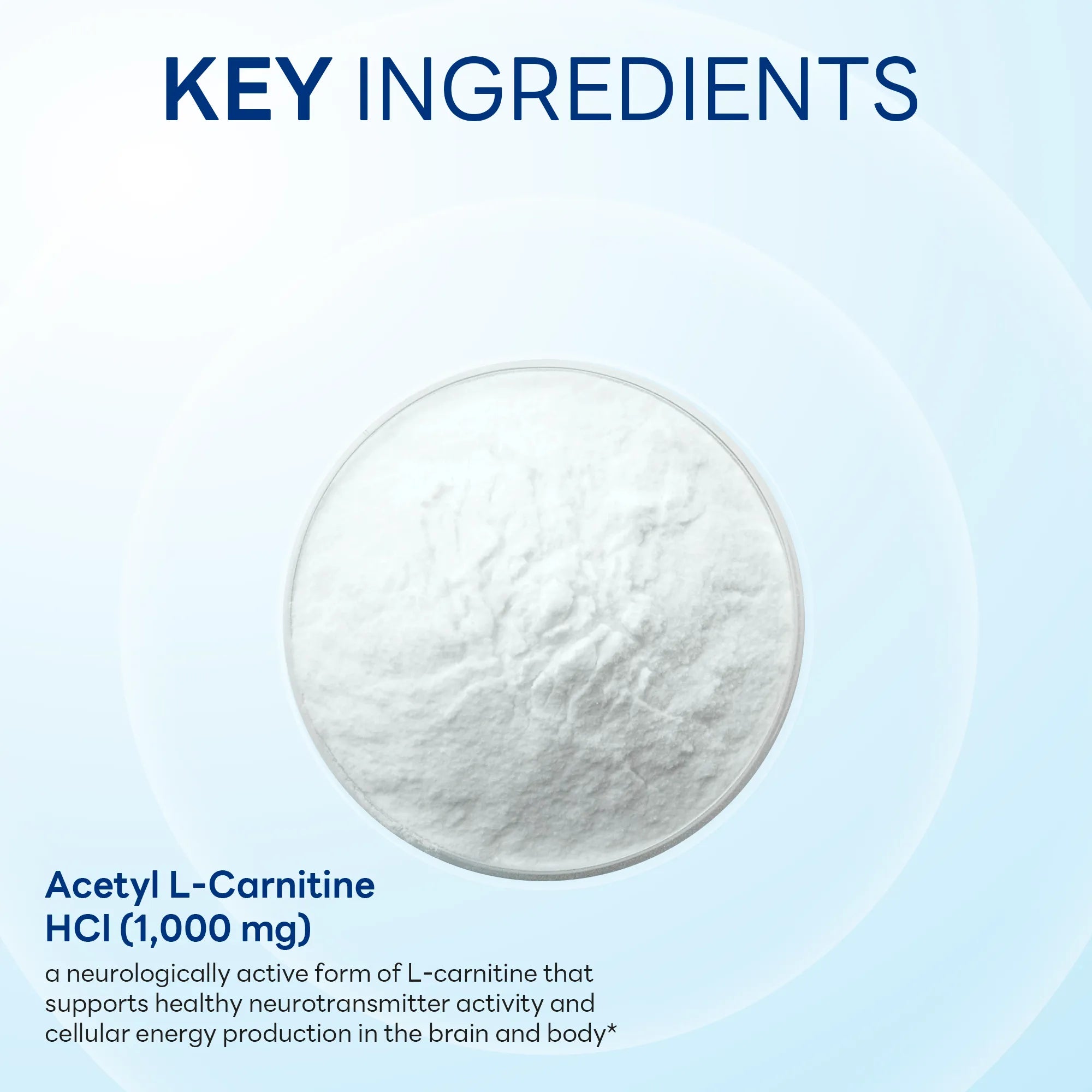 acetil l carnitina hcl Acetil L-Carnitina HCL 1000 mg | Vitamin World | Cápsulas