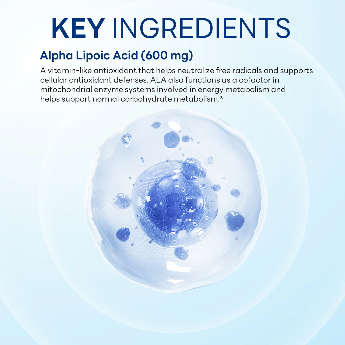 Alpha Lipoic Acid 600 mg, Antioxidant Support, 60 Vegetarian Capsules