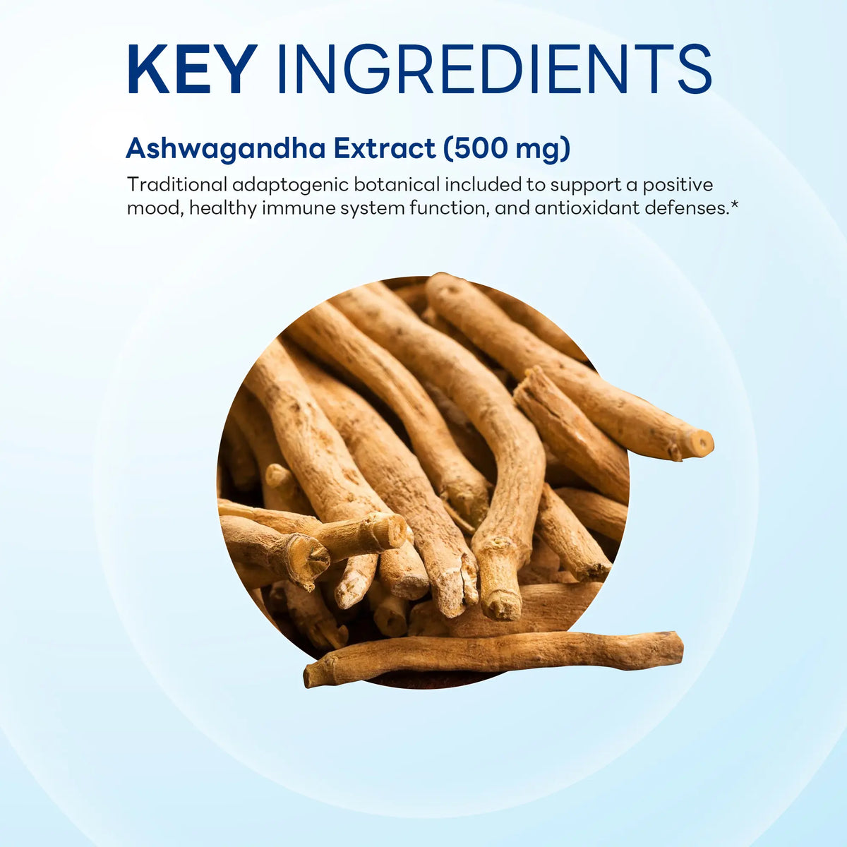 Ashwagandha Extract 500 mg, Stress & Mood Support, 60 Vegetarian Capsules