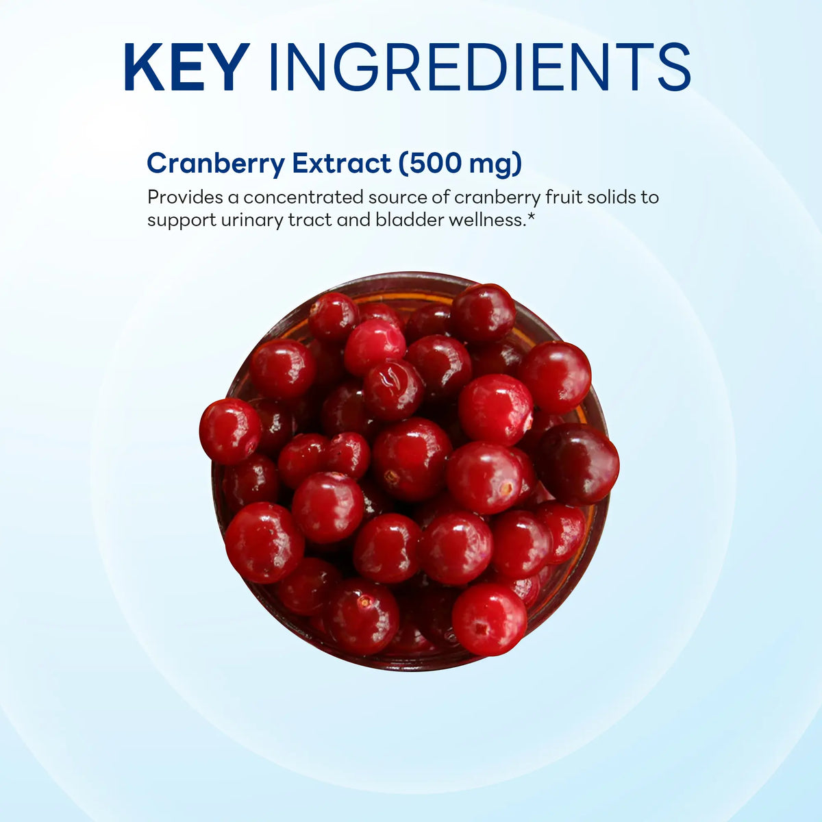 Cranberry Concentrate 500 mg (25,000 mg Equivalent), Urinary Tract Support, 60 Capsules