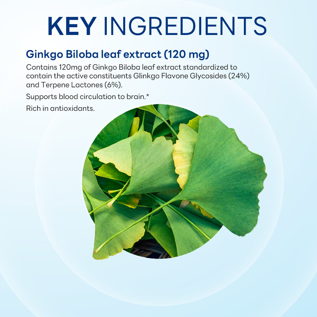 Ginkgo Biloba Standardized Extract 120 mg, Memory & Focus Support, 100 Capsules