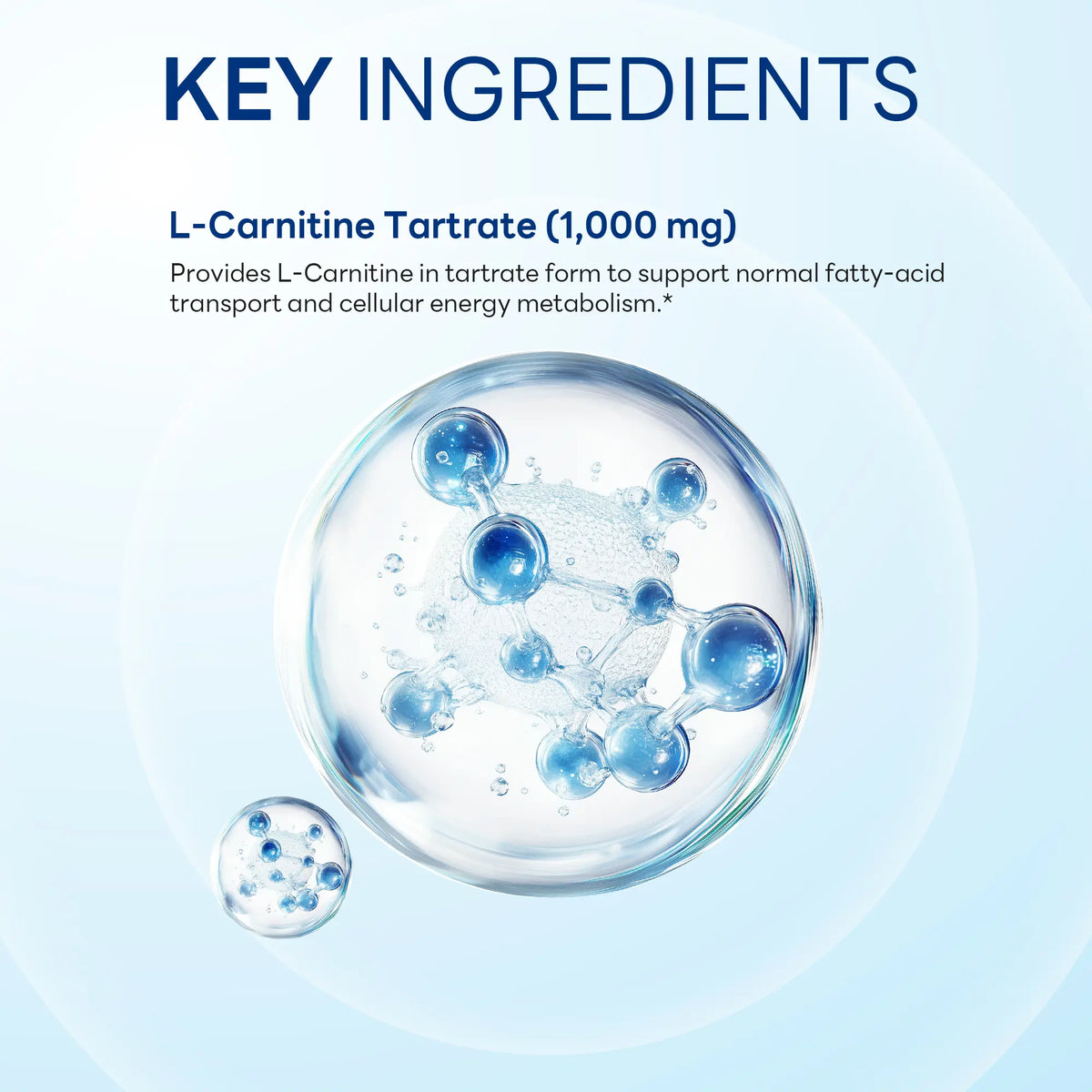 L-Carnitine Tartrate 1,000 mg, Energy & Metabolism Support, 90 Caplets