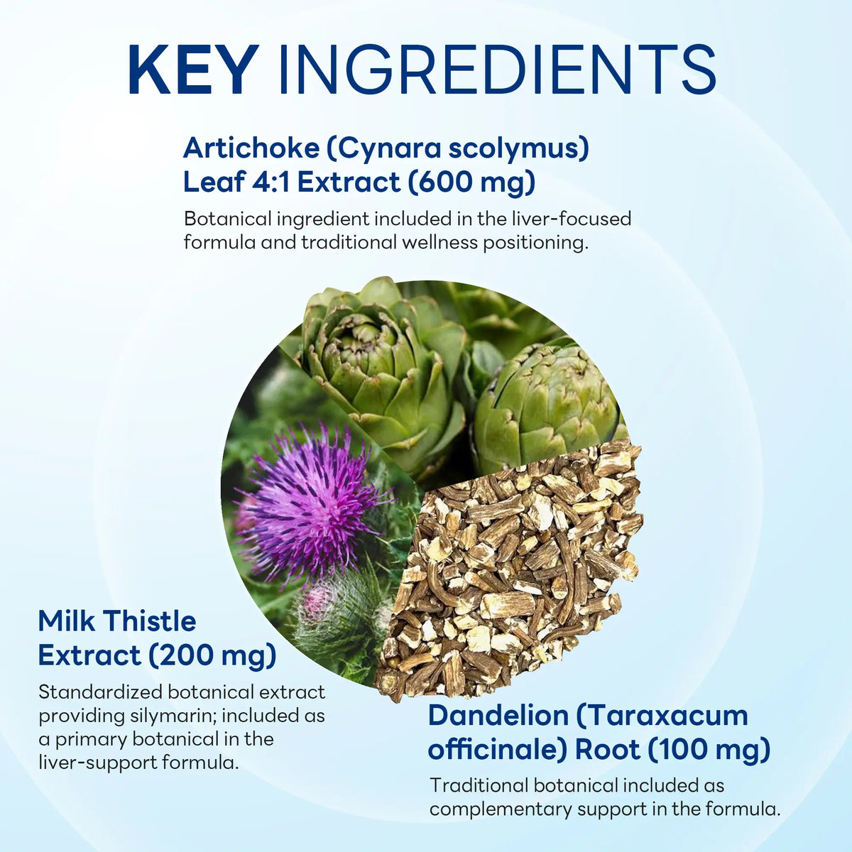 Liver Cleanse Formula with Milk Thistle & Artichoke, Liver Health Support, 90 Rapid Release Capsules