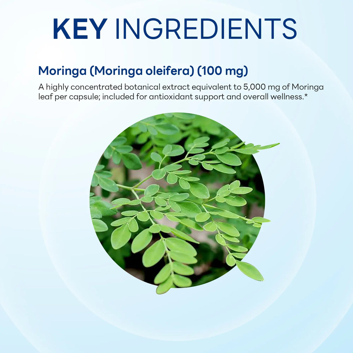 Moringa 5,000 mg Equivalent, Antioxidant Support, 100 Capsules