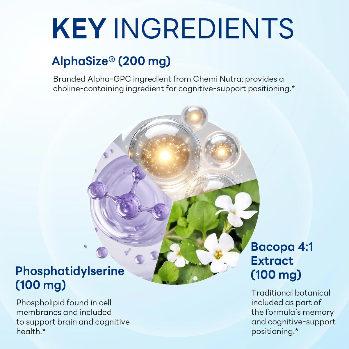 NeuroClear™ Memory & Focus with AlphaSize, Cognitive & Focus Support, 60 Vegetarian Capsules