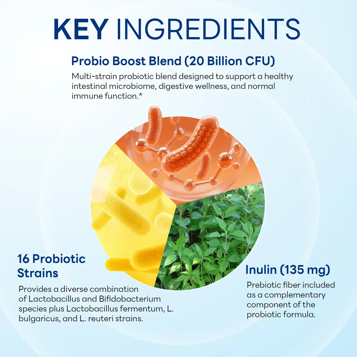 Probiotic 16 with 20 Billion CFU & Prebiotic Fiber, Digestive & Immune Support, 120 Vegetarian Capsules
