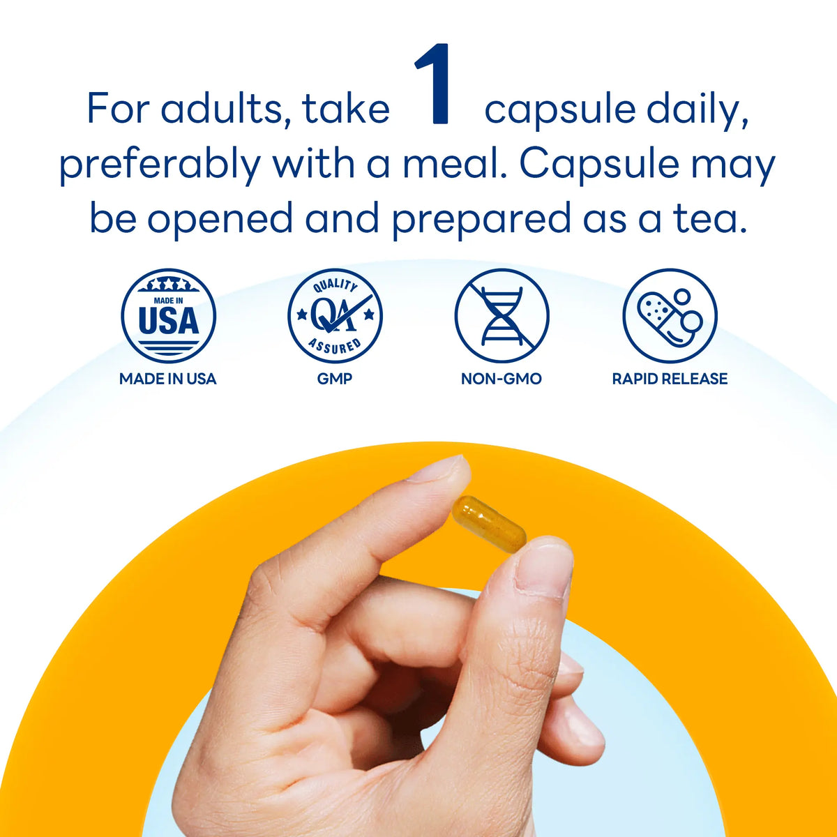 Turmeric Curcumin 1,000 mg with BioPerine®, Antioxidant & Inflammatory Support, 60 Capsules