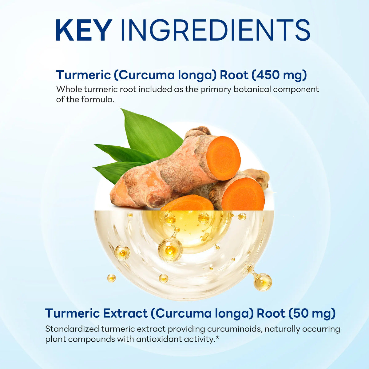 Turmeric Curcumin 500 mg, Antioxidant & Immune Support, 90 Rapid Release Capsules