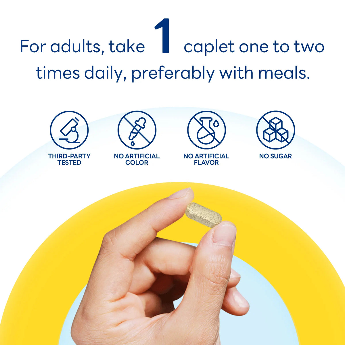Vitamin C 1,000 mg Timed Release with Bioflavonoids & Rose Hips, Immune & Antioxidant Support, 250 Caplets