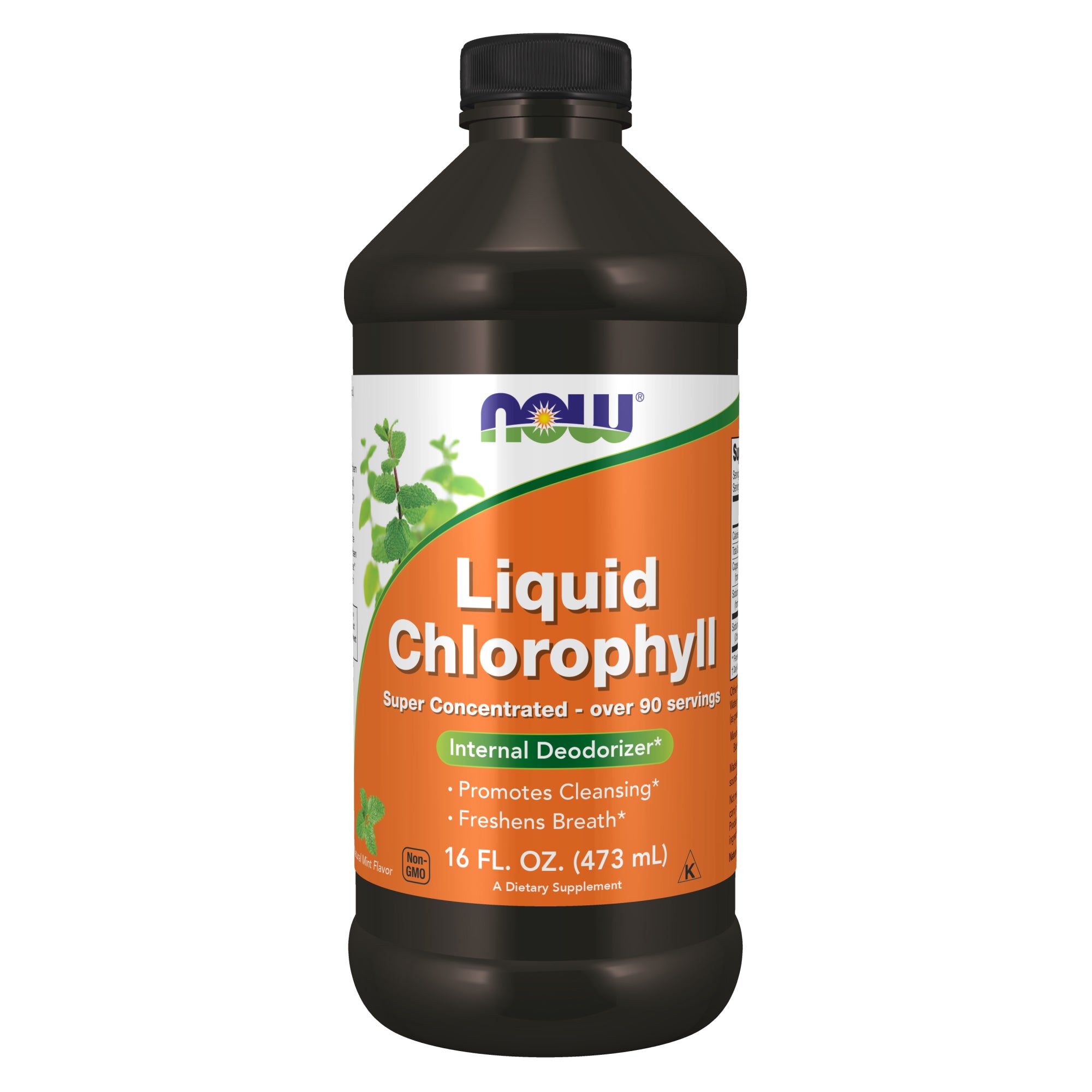 Liquid Chlorophyll, Super Concentrated, Internal Deodorizer* 16-Ounce - Mint Flavor