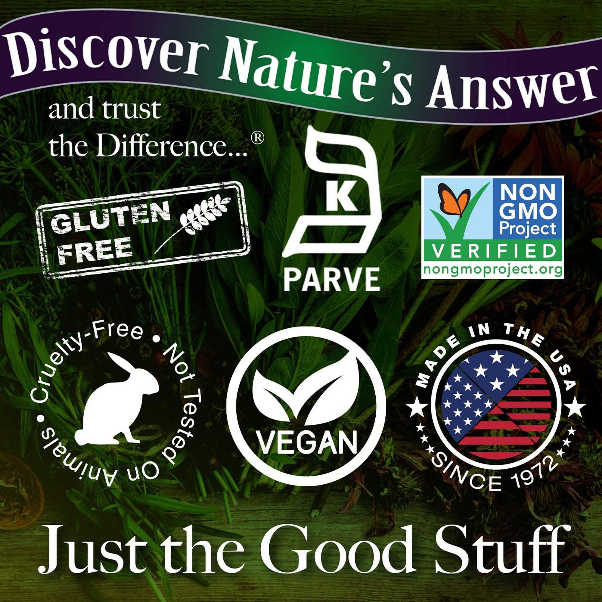 Sambucus Black Elderberry